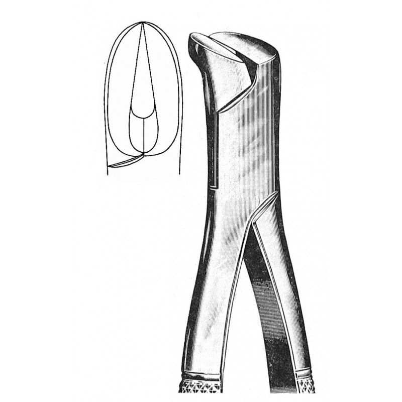 Extracting Forceps American Pattern